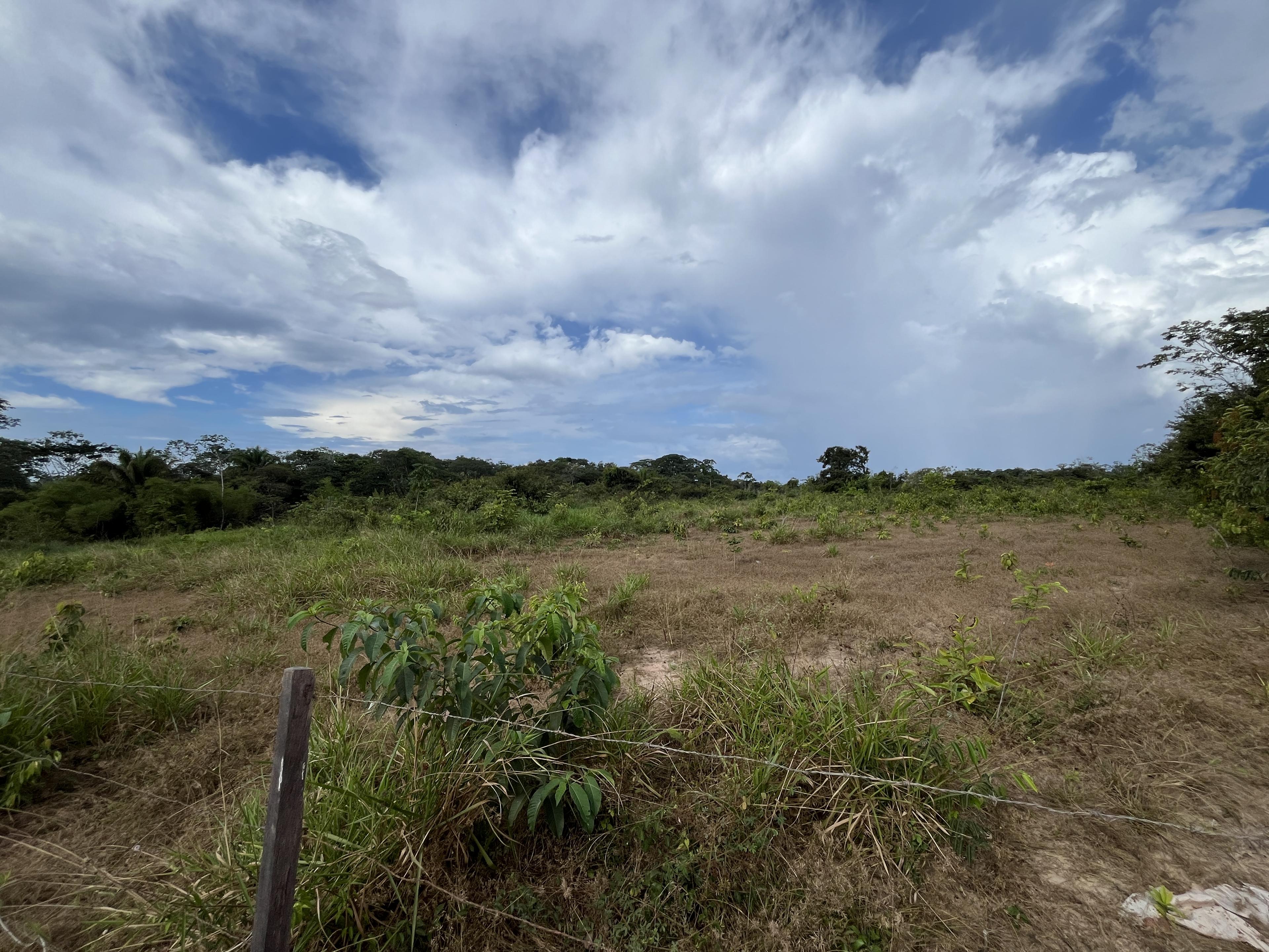 Terreno de 10.000 m² en Guayaraguazú